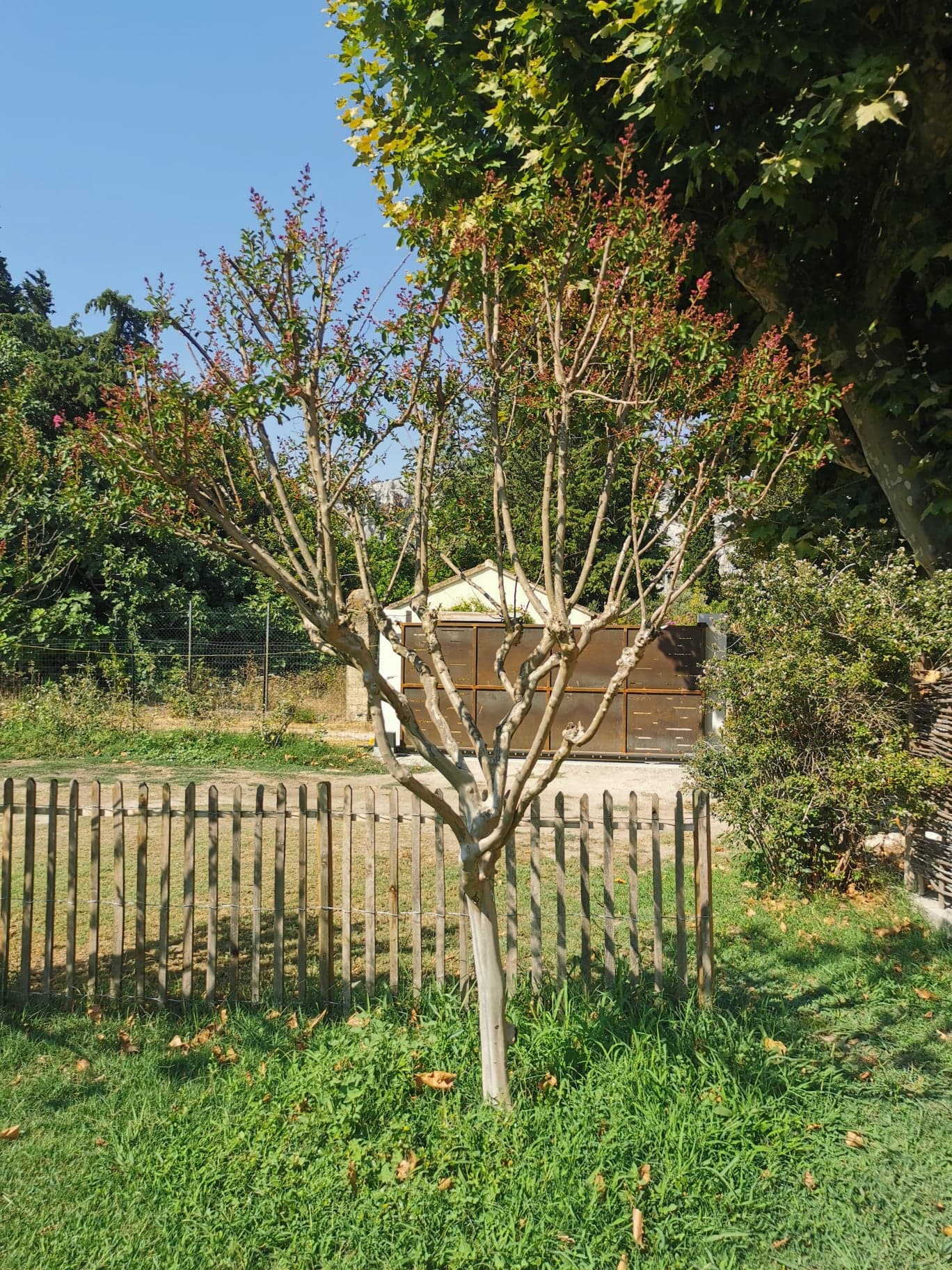 Slide Image
