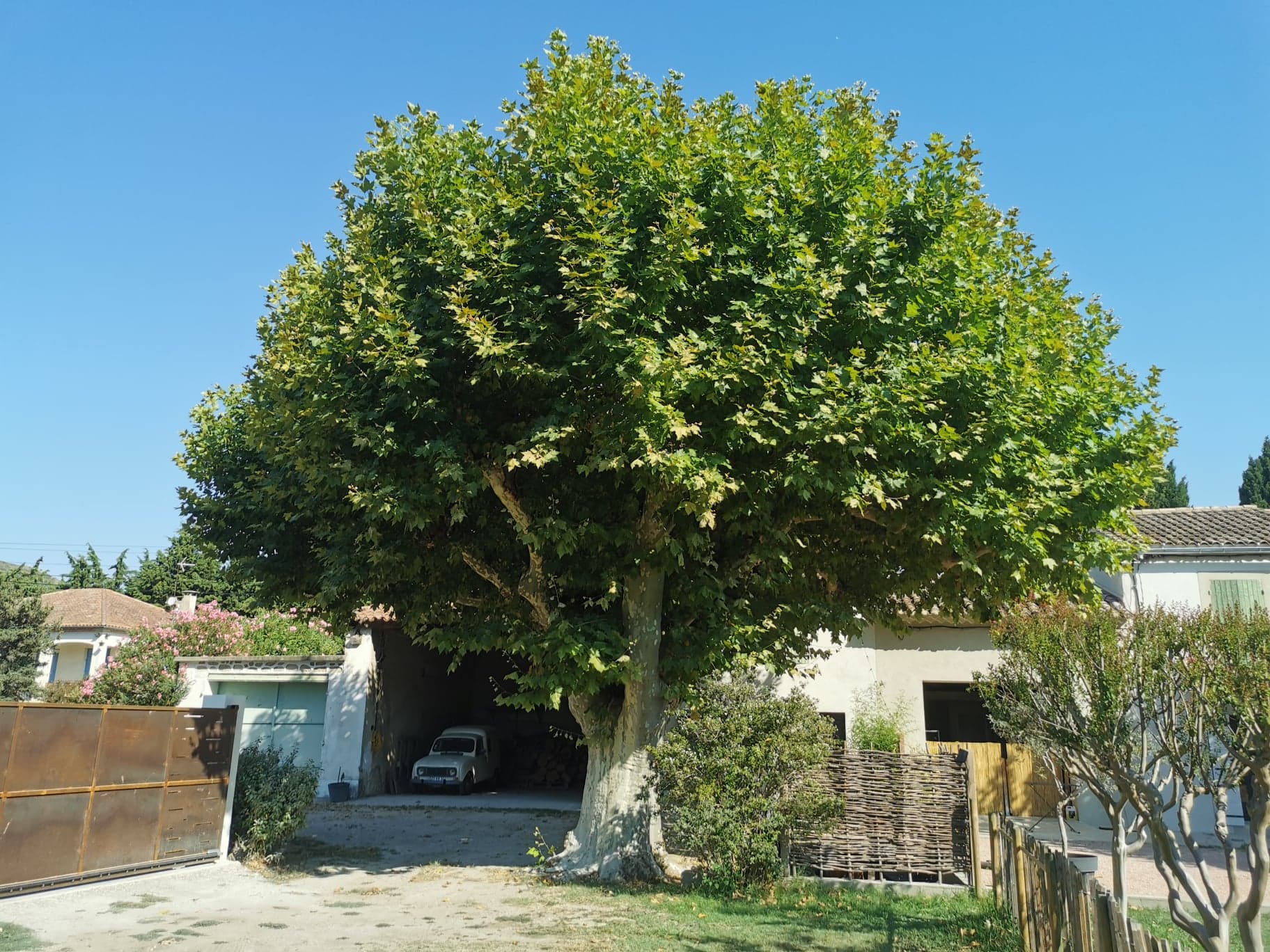 Slide Image
